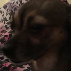 Meet your Posher, Danilo